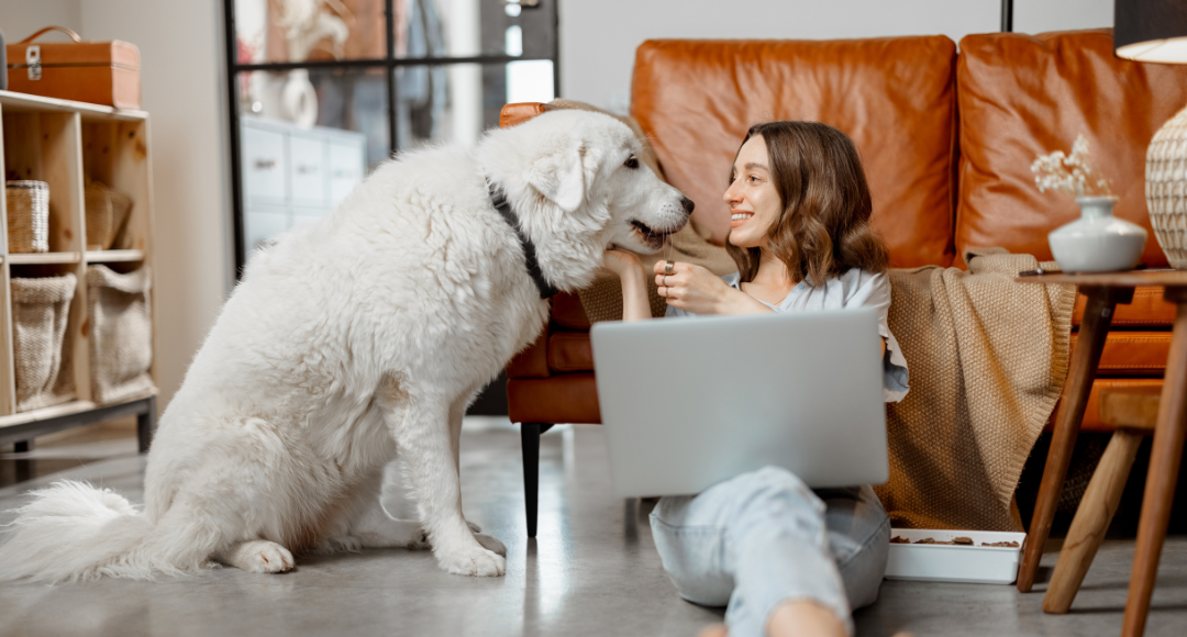 pige med brunt hår sidder med sin hund og bærbar og har lige opdaget at der intet oprettelsesgebyr er hos velkommen .png