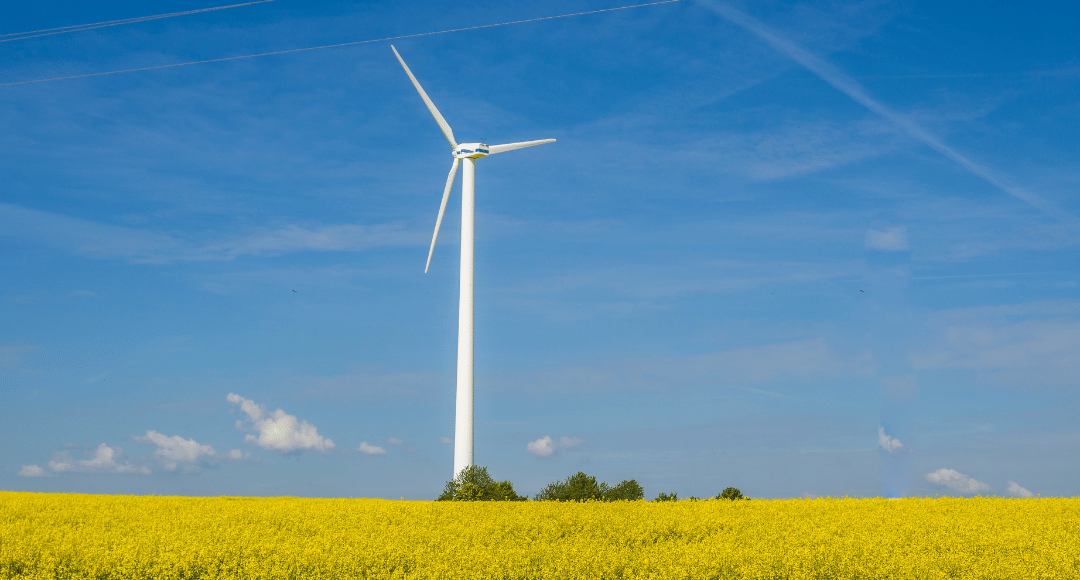 vindmølle på gul mark med blå himmel og sol 