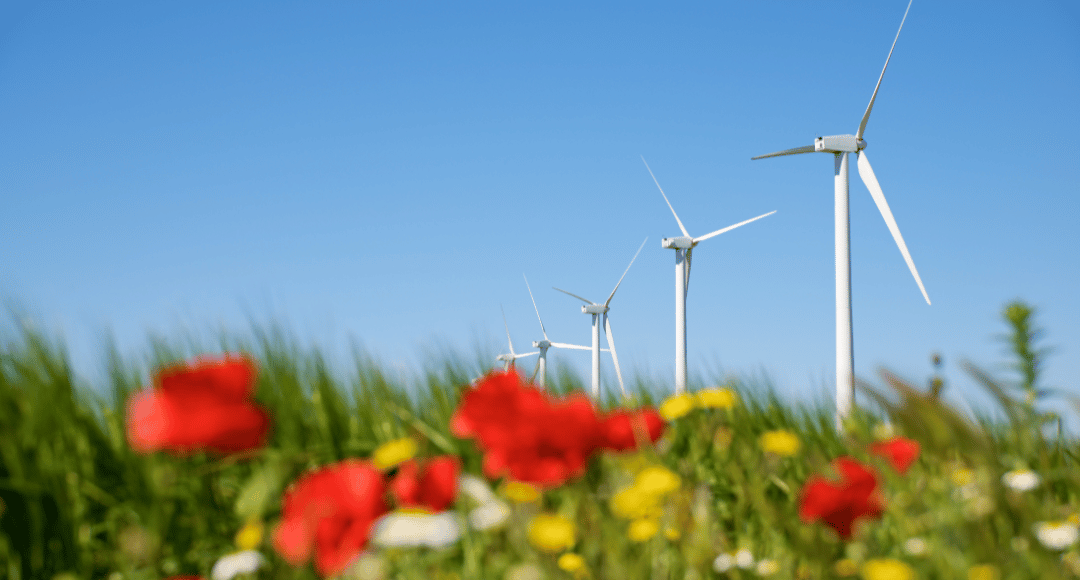 Certificeret grøn strøm.png