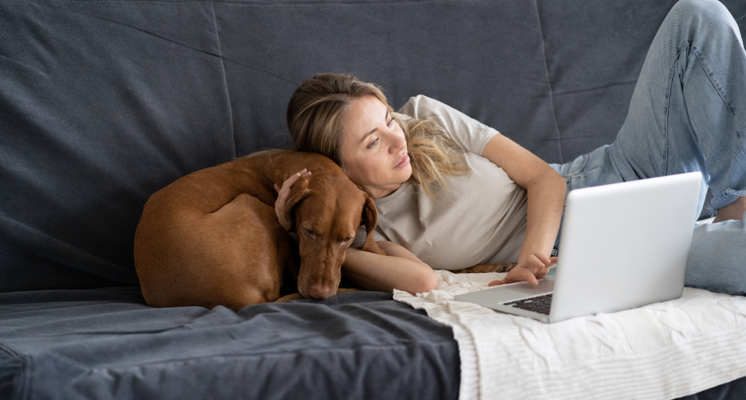 kvinde der slapper af med sin hund på en grå sofa, imens hun bruger billigt mobilt bredbånd fra Velkommen på sin sølv computer 