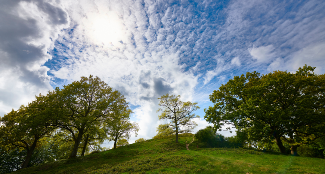 smuk dansk natur kan være et sted at bruge tid, når man har dødsfald tæt inde på livet